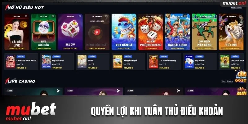 4 quyền lợi của người dùng dịch vụ khi tuân thủ điều khoản