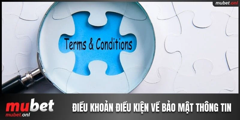 Điều khoản điều kiện về bảo mật thông tin